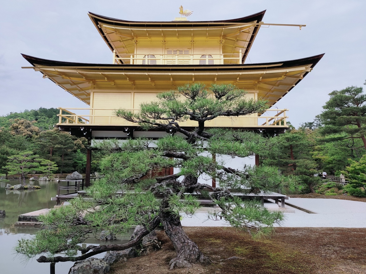 Kinkankuji pagoda Chùa Kinkankuji Nhật Bản