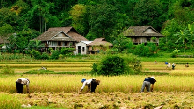 Tour Mai Châu 2 ngày 1 đêm cùng Việt Unique