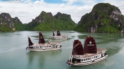 Halong bay 1 day - Viet unique Tour