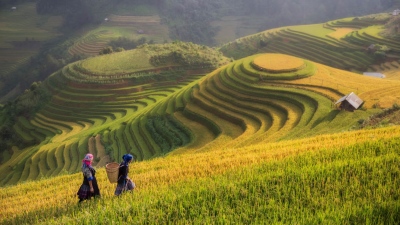 lao chai sapa