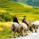 a village-Sapa-tour-in-tour-days-1night