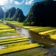 Ninh Binh tour 1 day