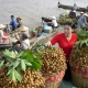 Mekong-delta-tour