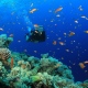 Tour Nha Trang scuba 4d