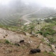 Sapa-tour-3-days-4-nights-by-train-with-Viet-Unique-tours