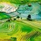 Sapa-tour-3-days-4-nights-by-train-with-Viet-Unique-tours