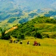 Sapa-tour-3-days-4-nights-by-train-with-Viet-Unique-tours