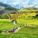 VU9: Tour Sapa Trekking - ngủ Homestay Tả Van