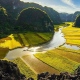 Tour Hoa Lu and Tam coc 1 day