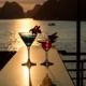 Halong bay 2 days 1 night on Pelican Cruise - Luxury 5 star boat