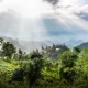 sapa bac ha tour