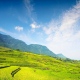 sapa tour landscape 