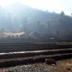 sapa-rice- terraces