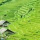 sapa viet nam 