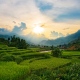 Sapa tour 2 days 1 night