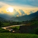 treckking- path- in- sapa- 2- days- 1- night