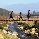 trekking-in-sapa-vietnam