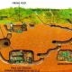 cu chi tunnels