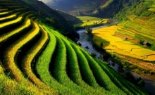 Sapa tour: Coming to Sapa, must visit Muong Hoa valley.