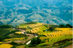 cheap-sapa-tour-from-Hanoi