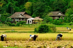 Tour Mai Châu 2 ngày 1 đêm cùng Việt Unique