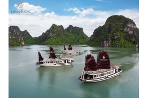 Halong bay 1 day - Viet unique Tour