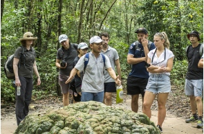 Cu chi tunel city tour