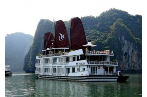 Halong bay 2 days 1 night on Pelican Cruise - Luxury 5 star boat