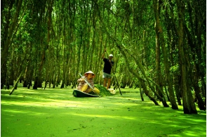 tour to ben tre viet nam