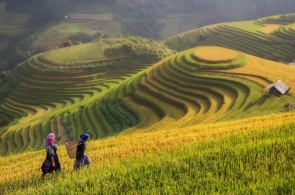 lao chai sapa